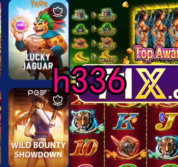 h336.com